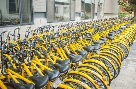 只管投放不講回收 破舊共享單車成為垃圾山