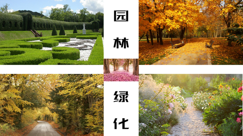 讓綠化植物釋放余熱 園林垃圾需開(kāi)拓資源化道路