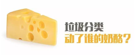 垃圾分類動(dòng)了誰(shuí)的奶酪？