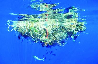 新研究：利用微生物處理海洋塑料垃圾